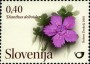 植物:欧洲:斯洛文尼亚:si201004.jpg