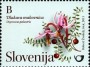 植物:欧洲:斯洛文尼亚:si201102.jpg