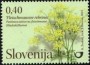 植物:欧洲:斯洛文尼亚:si201201.jpg