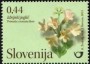 植物:欧洲:斯洛文尼亚:si201202.jpg