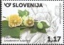 植物:欧洲:斯洛文尼亚:si202001.jpg
