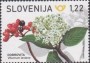 植物:欧洲:斯洛文尼亚:si202101.jpg