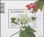 植物:欧洲:斯洛文尼亚:si202104.jpg