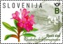 植物:欧洲:斯洛文尼亚:si202402.jpg