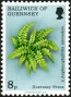植物:欧洲:根西岛:gg197503.jpg