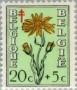 植物:欧洲:比利时:be194901.jpg