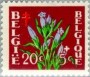 植物:欧洲:比利时:be195001.jpg