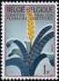 植物:欧洲:比利时:be196501.jpg