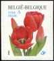 植物:欧洲:比利时:be200103.jpg