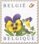 植物:欧洲:比利时:be200304.jpg