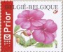 植物:欧洲:比利时:be200402.jpg
