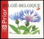 植物:欧洲:比利时:be200601.jpg
