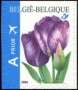 植物:欧洲:比利时:be200602.jpg