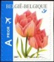 植物:欧洲:比利时:be200702.jpg