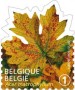 植物:欧洲:比利时:be201201.jpg