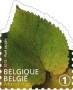 植物:欧洲:比利时:be201203.jpg