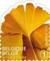 植物:欧洲:比利时:be201205.jpg