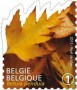 植物:欧洲:比利时:be201206.jpg