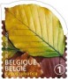 植物:欧洲:比利时:be201207.jpg