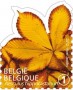 植物:欧洲:比利时:be201208.jpg