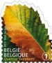 植物:欧洲:比利时:be201210.jpg