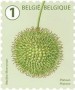植物:欧洲:比利时:be202108.jpg