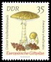 植物:欧洲:民主德国:ddr197413.jpg