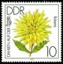 植物:欧洲:民主德国:ddr197901.jpg