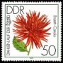 植物:欧洲:民主德国:ddr197905.jpg