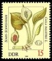 植物:欧洲:民主德国:ddr198202.jpg