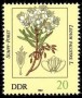 植物:欧洲:民主德国:ddr198203.jpg