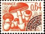 植物:欧洲:法国:fr197901.jpg