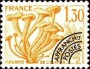 植物:欧洲:法国:fr197903.jpg