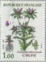 植物:欧洲:法国:fr198301.jpg