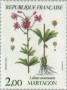 植物:欧洲:法国:fr198302.jpg