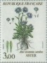 植物:欧洲:法国:fr198303.jpg
