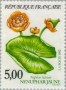 植物:欧洲:法国:fr199204.jpg