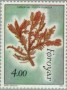 植物:欧洲:法罗:fo199601.jpg
