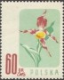 植物:欧洲:波兰:pl195704.jpg