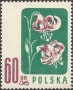 植物:欧洲:波兰:pl195705.jpg