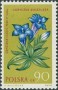 植物:欧洲:波兰:pl196204.jpg