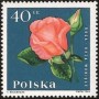 植物:欧洲:波兰:pl196403.jpg