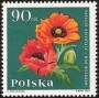 植物:欧洲:波兰:pl196406.jpg