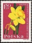 植物:欧洲:波兰:pl196408.jpg