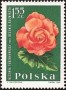 植物:欧洲:波兰:pl196409.jpg