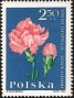 植物:欧洲:波兰:pl196410.jpg