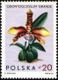 植物:欧洲:波兰:pl196501.jpg