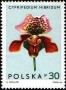植物:欧洲:波兰:pl196502.jpg