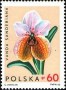 植物:欧洲:波兰:pl196505.jpg
