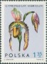 植物:欧洲:波兰:pl196506.jpg